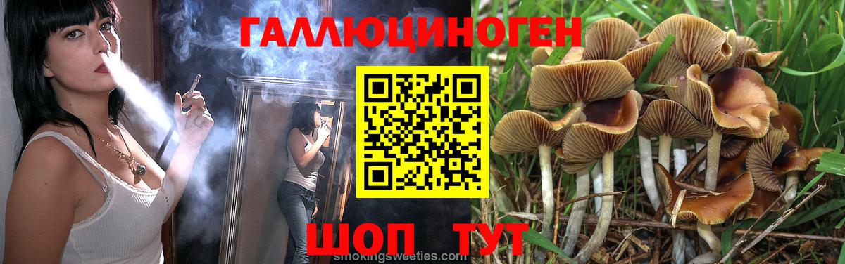 Галлюциногенные грибы Psilocybe  как найти закладки  Шарыпово  Вход с VPN 